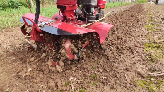 Flächengröße über 10 cm Bauernbetriebe Neugestalteter 4,0 kW Benzinmotor Mini-Rotations-Flächengerät