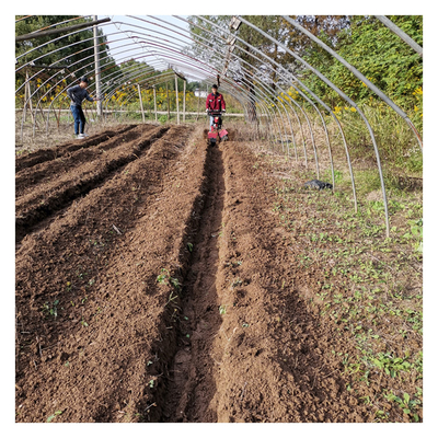 Maximieren Sie Ihr Managementpotenzial mit einem Obstgartenanbauer und einer Arbeitsbreite von 70 cm