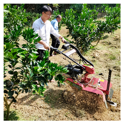 Orchard Gasoline Mikro-Power Tiller für die Ausbeute Breite von mehr als 10cm 145*62*85cm Größe