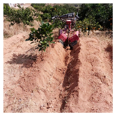 Orchard Gasoline Mikro-Power Tiller für die Ausbeute Breite von mehr als 10cm 145*62*85cm Größe