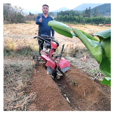 Leistungsfähiger Benzinmotor Obstgarten Tiller Weeder für 145*62*85cm Obstgarten Management