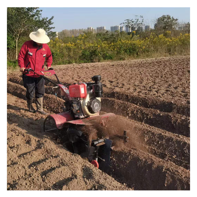 Weiden und Gräben mit direkt angeschlossenem 177F All Gear Transmission Farm Cultivator