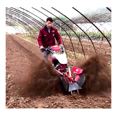 Wirtschaftlicher Mini Power Tiller Gear Cultivator 10-40cm Tilling Breite und Benzin Abwasser