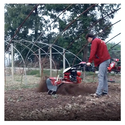 Wirtschaftlicher Mini Power Tiller Gear Cultivator 10-40cm Tilling Breite und Benzin Abwasser