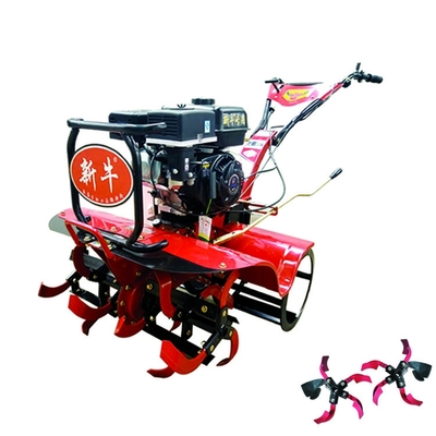 160*62*108cm Mehrzweckgetriebe und Gürtelgetriebe 170F Benzinmotor