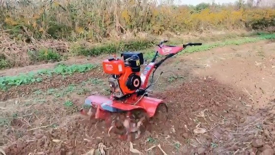 160*62*108cm Mehrzweckgetriebe und Gürtelgetriebe 170F Benzinmotor