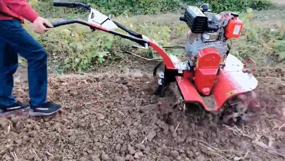 160*62*108cm Mehrzweckgetriebe und Gürtelgetriebe 170F Benzinmotor