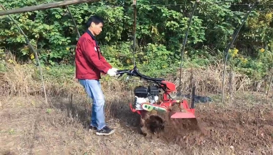 7 PS Benzinmotor Handwirbelmaschine für 70 cm breite Wirbelanwendungen