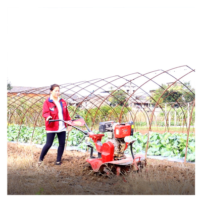 Berufliche landwirtschaftliche Maschinen ausgerüstet 4 kW Mini-Power-Tiller für die Landwirtschaft
