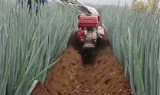 155*75*105cm Getriebe-Gürtel-Übertragung Multifunktions-Trenching-Tiller-Kultivator
