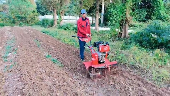 Garten 7HP Mini Tiller Farm Kultivator Arbeitsgeschwindigkeit von 4 km / h für maximale Produktivität
