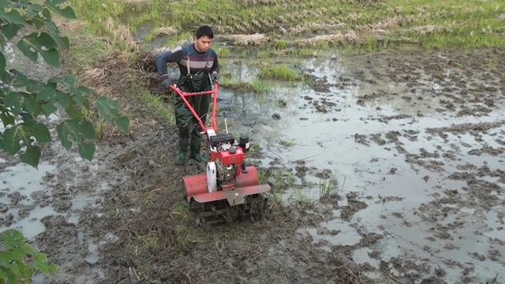 Fortgeschrittene Vierradantrieb Benzinmotor Landwirtschaftsanlage für landwirtschaftliche Anlagen