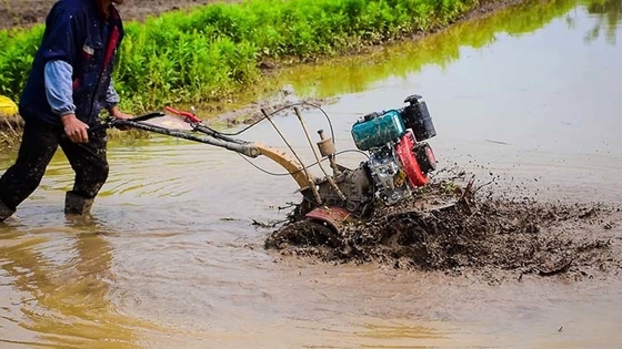 4 kW Hochsicherheitsstufe Mehrfunktions-Landwirtschaftsmaschine Benzinmotor 4WD 170f Mini Tiller