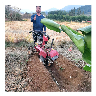 Gängestrukturmanagement Mini Power Tiller mit 70 cm Arbeitsbreite und Benzinmotor