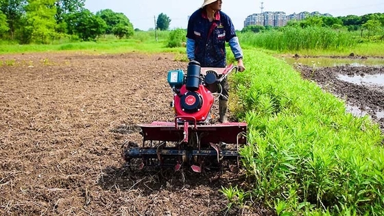 Vierradantriebliche Mehrzwecklandwirtschaftliche Ausrüstung 173F Dieselmotor-Kultiverator für den Garten