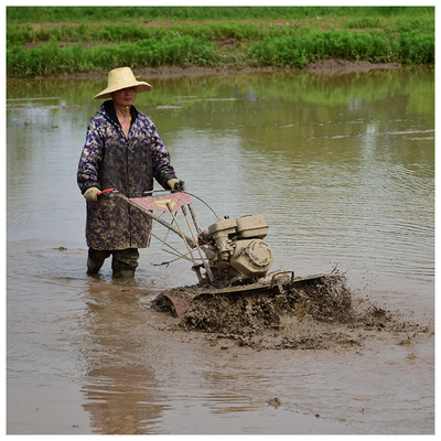 Erreichen Sie mehr in kürzerer Zeit mit unserem Dreh-Tiller 170F/173F 4WD Mini Power Tiller