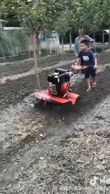 Erleben Sie die Leistung eines 6 PS Diesel-Tillers 85 KG in Ihrem Garten