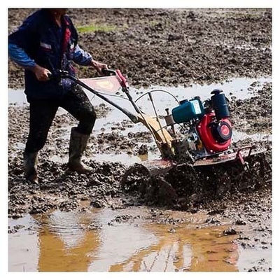 Hohe Sicherheitsstufe 4KW 173F Dieselmotor Mini-Tiller Die beste Wahl für Unkraut-Aufgaben