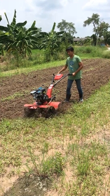 Mini Tiller Gear Struktur Kultivator 45-85cm Arbeitsbreite für den Boden Anbau