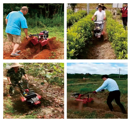145*62*85cm Mini Power Tiller Rotationskultivator mit Allradantrieb