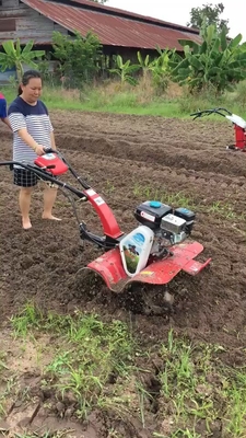 Anstrengungslose Landwirtschaft mit einem hohen Sicherheitsniveau, einem 9 PS starken Tiller und fortschrittlicher Technologie
