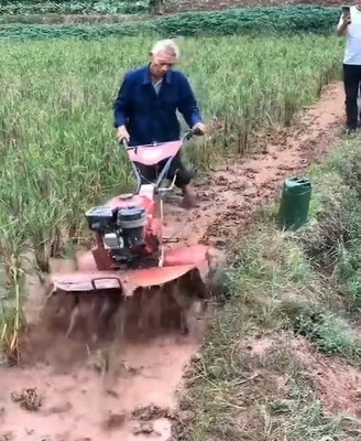 Anstrengungslose Landwirtschaft mit einem hohen Sicherheitsniveau, einem 9 PS starken Tiller und fortschrittlicher Technologie