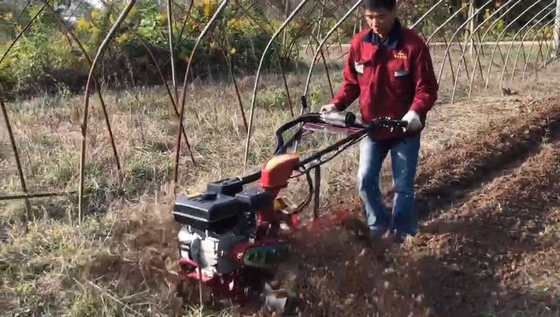 70cm Arbeitsbreite Vierradantriebs-Abbau-Maschine für Obstgarten mit Benzinmotor