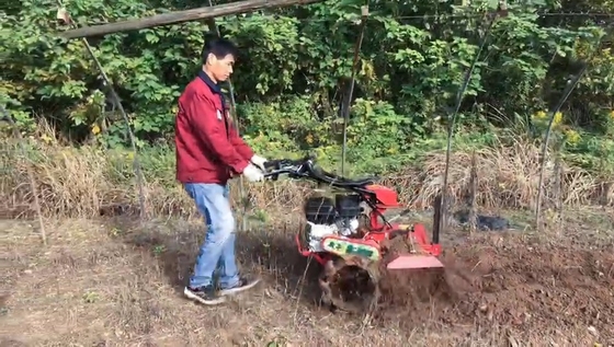 70 cm Arbeitsbreite Kompakt 177F Benzinmotor mit Vierradantrieb Mini Tiller Kultivator
