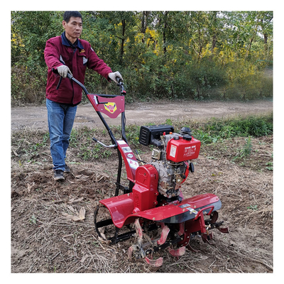 Garten-Elektronische Startgetriebe-Struktur Obstgarten mit 6 Klingen Dieselmotor