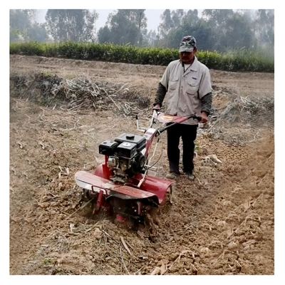 Xinniu Farm Machine Mini Power Tiller mit vielseitigem Benzinmotor und Drehwerkzeugen