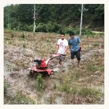 Benzin-Mini-Power-Tiller mit Rotations-Tillage Leichtgewicht und 65 KG Tragfähigkeit