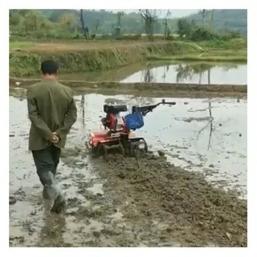 Benzin-Mini-Power-Tiller mit Rotations-Tillage Leichtgewicht und 65 KG Tragfähigkeit