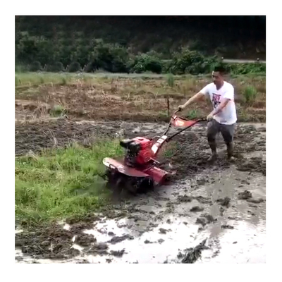 160*62*108cm Traktor und Rotationsschleuder für Ihre landwirtschaftlichen Bedürfnisse