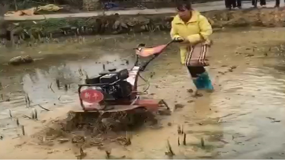Wasser- und Landgetriebe mit Mini-Rotationskultivator mit verstellbarer Arbeitsbreite