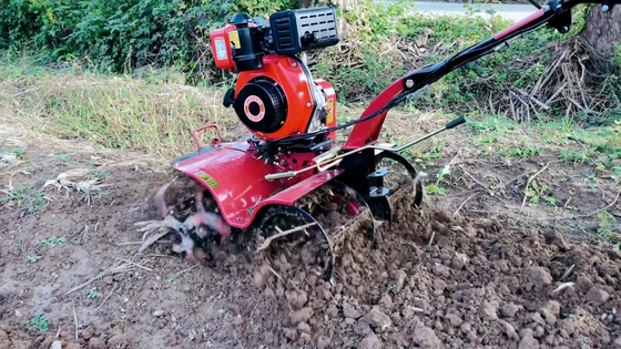 186F Dieselmotor Mini Power Tiller Kultivator für landwirtschaftliche Maschinen
