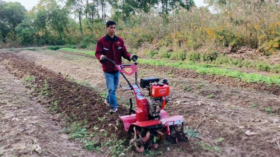 Leistungsstarker 186F Dieselmotor mit Vierradantrieb Mini Power Tiller Kultivator für den Markt
