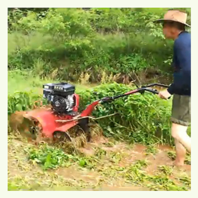 Verstellbare Arbeitsbreite und Talbreite Mini Power Tiller mit Allradantrieb