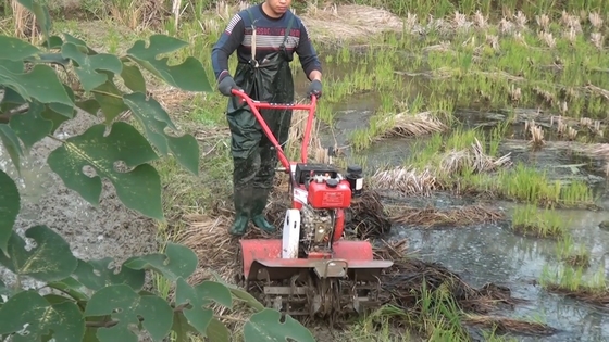 Verstellbare Arbeitsbreite und Talbreite Mini Power Tiller mit Allradantrieb