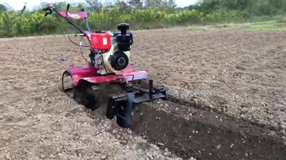 Landwirtschaftliche Maschinen und Geräte Modell 186F 192F