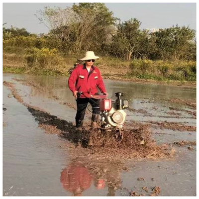 4 km/h Profi 4WD Mini Power Tiller mit verstellbarer Tillerbreite