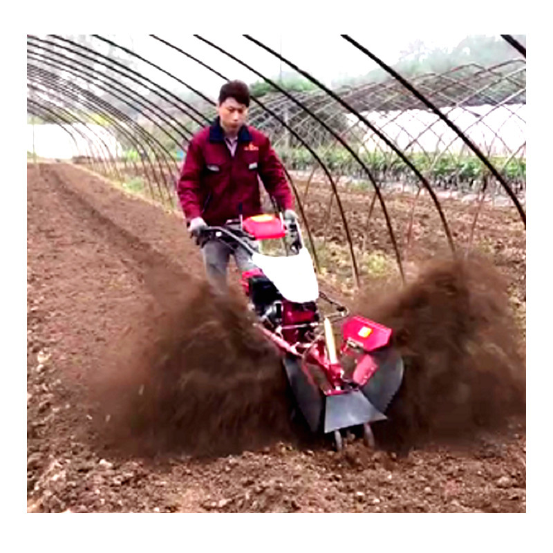 Wirtschaftlicher Mini Power Tiller Gear Cultivator 10-40cm Tilling Breite und Benzin Abwasser