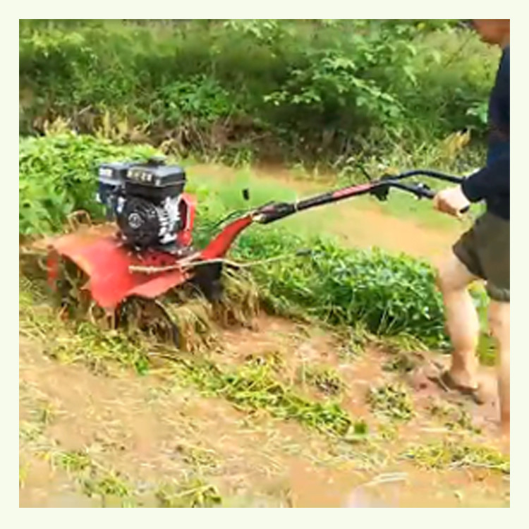 170F 7HP 4.05KW Getriebe Übertragung Manuell Start Mini Power Tiller mit hohem Sicherheitsniveau