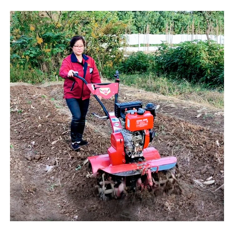 Mehrzweck-Rotations-Tillage-Mini-Power-Tiller mit Allradantrieb und 4 kW Leistung