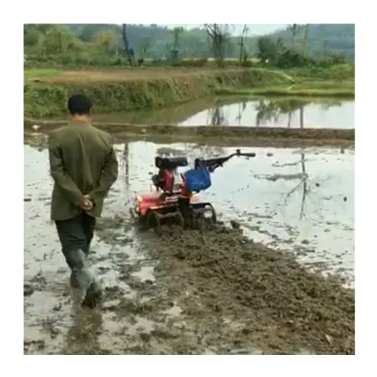 160*62*108cm Hochsicherheitsniveau Landwirtschaftsmaschinen 4KW Landwirtschaftsgeräte/Mini-Rotator